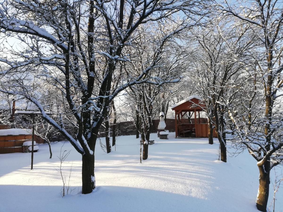Drevenica Silvia Villa Liptovsky Mikulas Bagian luar foto